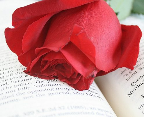rosa roja y libro